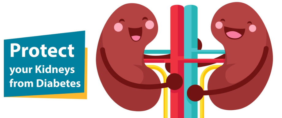 How to protect your Kidneys from Diabetes